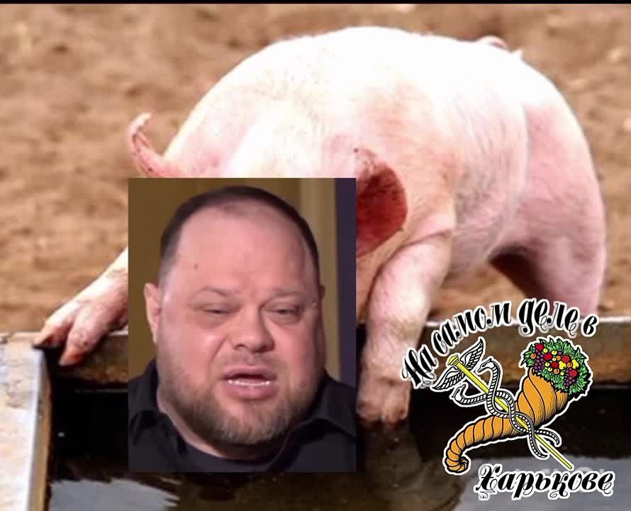 Зраду будут "захищати" 300 спартанцев депутатов?