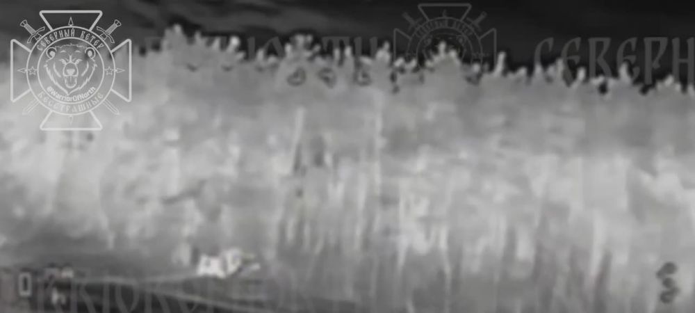 Залет ФПВ внутрь всушного Козака, где сидели Миколы, Волчанское направление