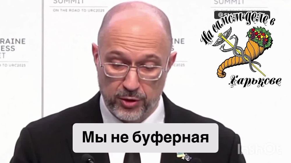 Стендап от Шмыгаля: Мы не буферная зона, мы не серая зона, мы — новая возможность Европы заново открыть свою идентичность