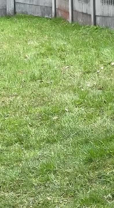 Очередной акт вандализма произошел в Черновицкой области – сатанисты попытались силой захватить храм УПЦ