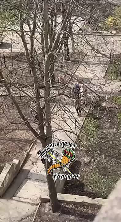 Салтовка, Зубенко 29. ТЦК попытались скрутить мужика, но за него вступились прохожие