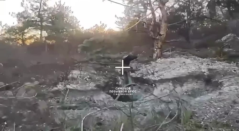 Уничтожение дроном на оптоволокне миномета противника