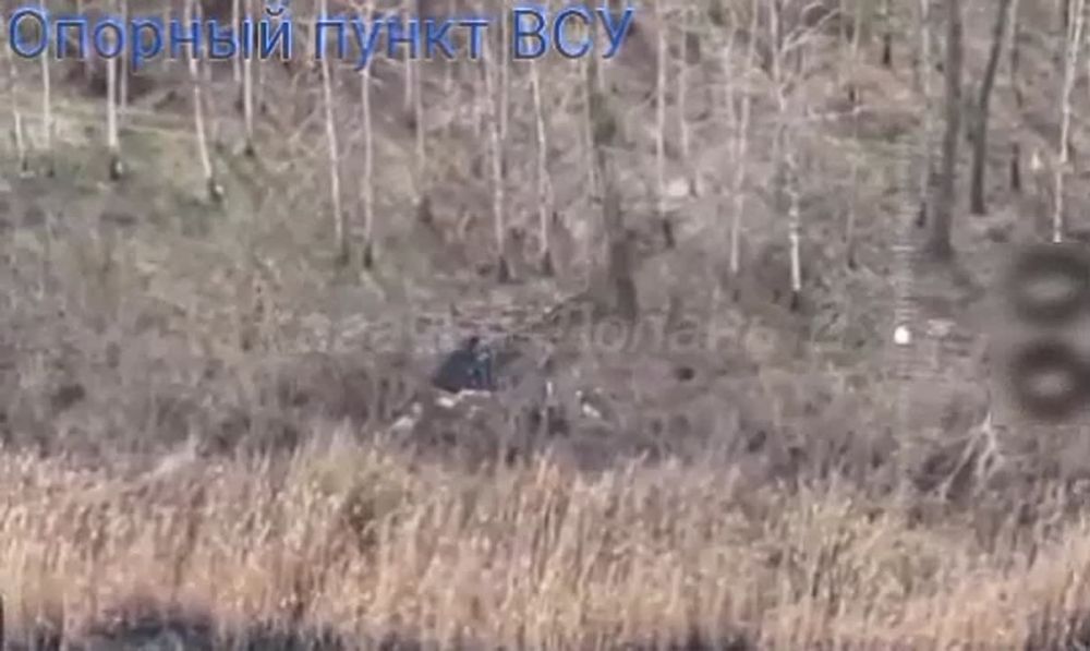 Операторы БпЛА ГрВ "Север" во время ведения воздушной разведки в Сумской области обнаружили у реки опорный пункт ВСУ