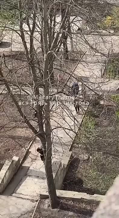 В Харькове прохожие отбили мужика у сотрудников ОПГ ТЦК По словам очевидцев, один из упырей даже вызвал полицию, потому что женщина держала его за руку