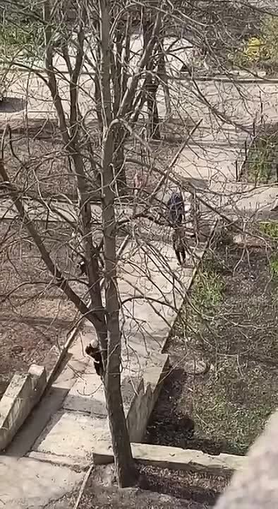 Никогда такого не было, и вот опять)