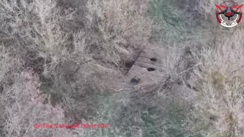 6 армия применила наземный дрон-камикадзе для подрыва места дислокации всушников в Каменке на Купянском направлении