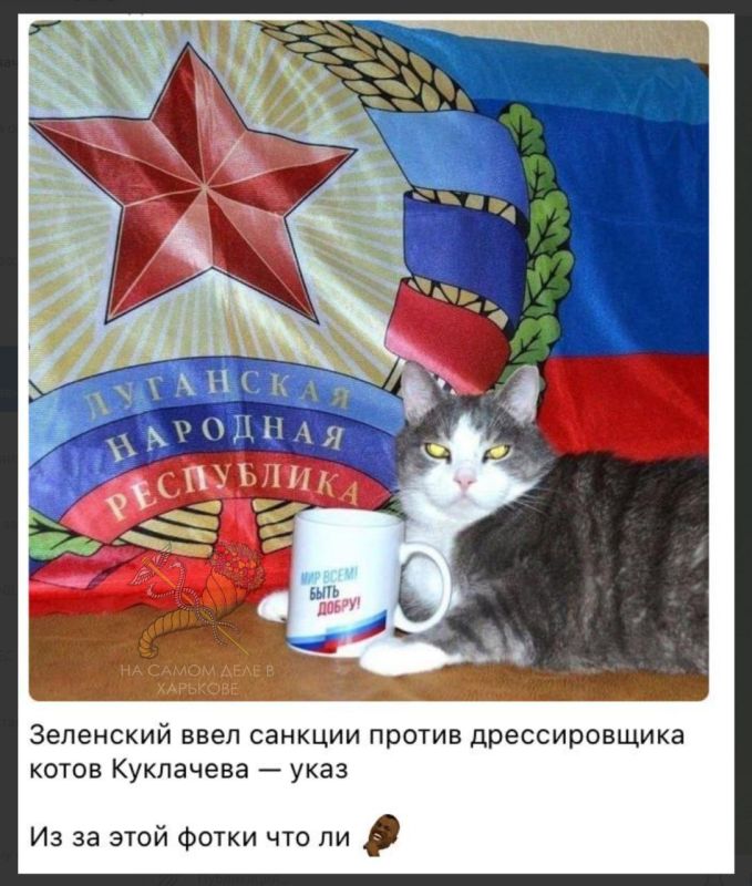 Очень похоже на правду. Тот самый кот, который больше не кіт) Ответ Куклачева в комментах ПОДПИСАТЬСЯ Наш чат