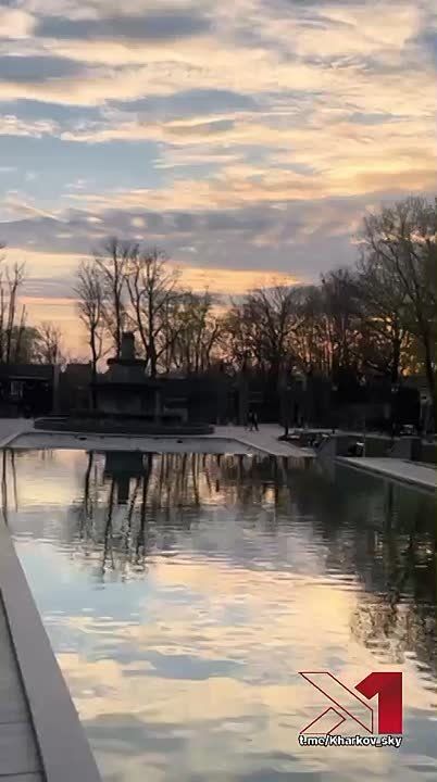 Цветущий Харьков. Весенняя видеозарисовка