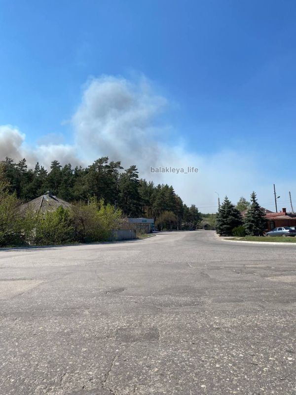 В Балаклее, Харьковской области горит лес В Балаклее, Харьковской области горит лес