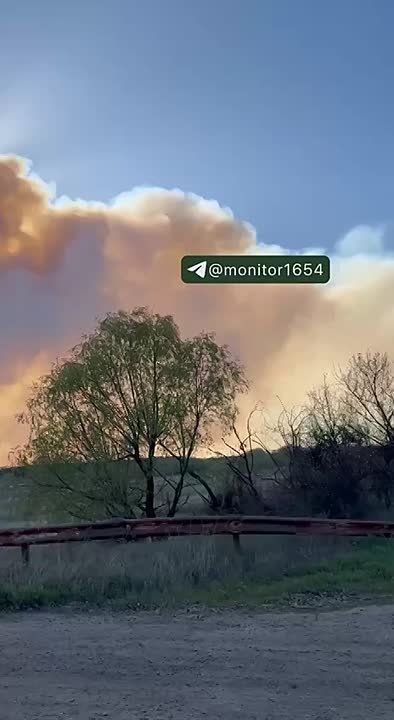 В Балаклее, Харьковской области горит лес