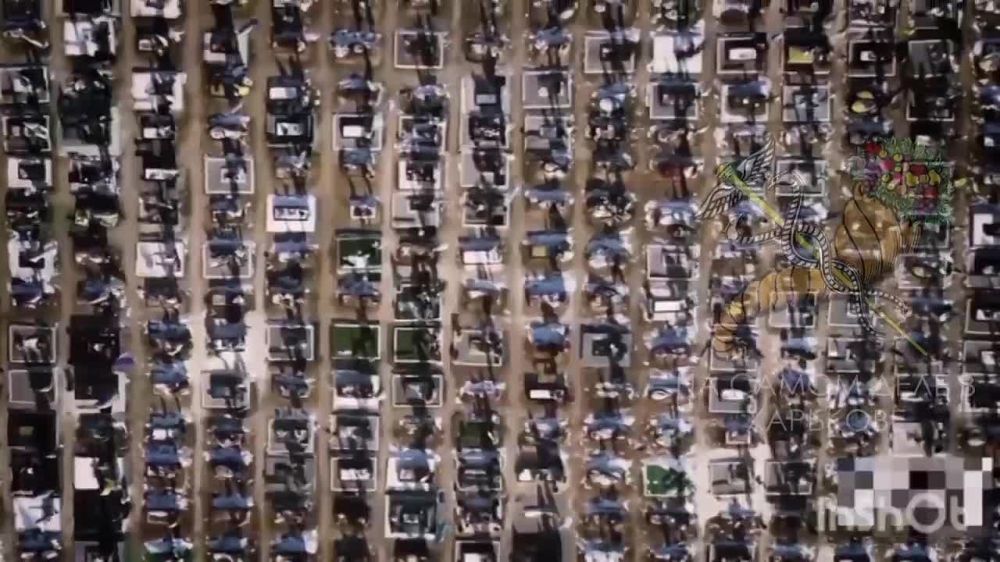 Ловушка и борьба Зеленского