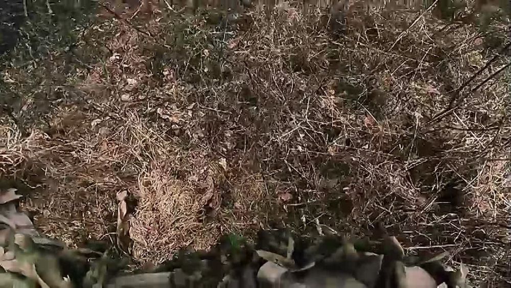 Горячая встреча. Расчет АГС-17 штурмового отряда «Ветер» 128 омсбр 44 АК пресек попытку ротации украинских боевиков на Харьковском направлении