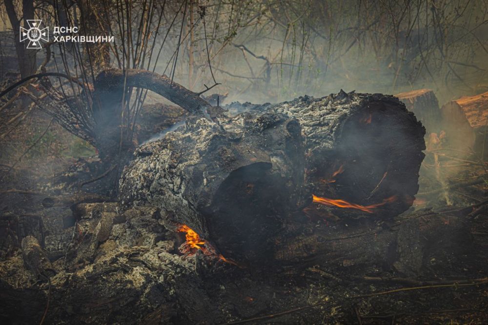 Пожар в Балаклее накрыл площадь более 400 гектар Пожар в Балаклее накрыл площадь более 400 гектар
