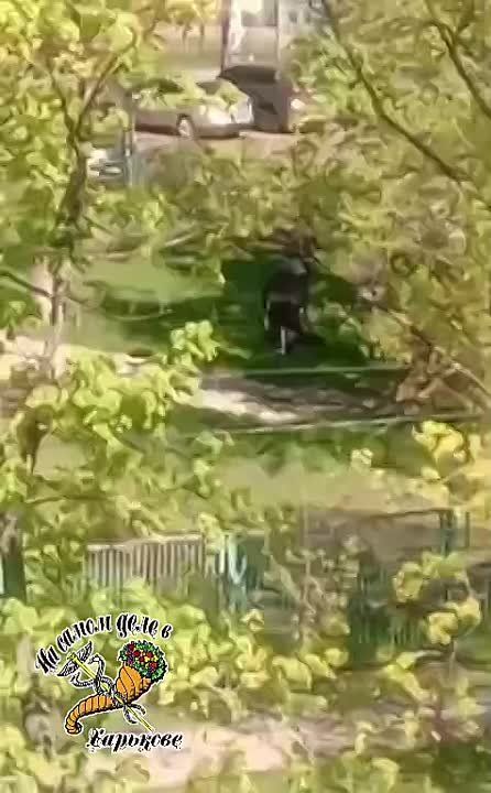 Бусификация на Новых Домах