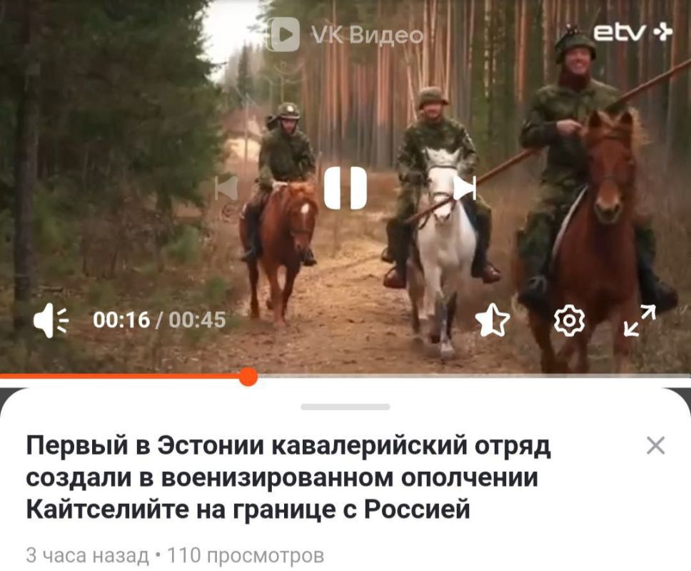 Бойся, Путин!. Эстонская армия приросла личным составом в 7 раз