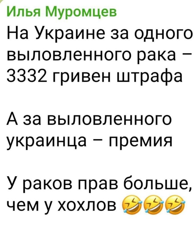 На злобу дня!. ПОДПИСАТЬСЯ Наш чат