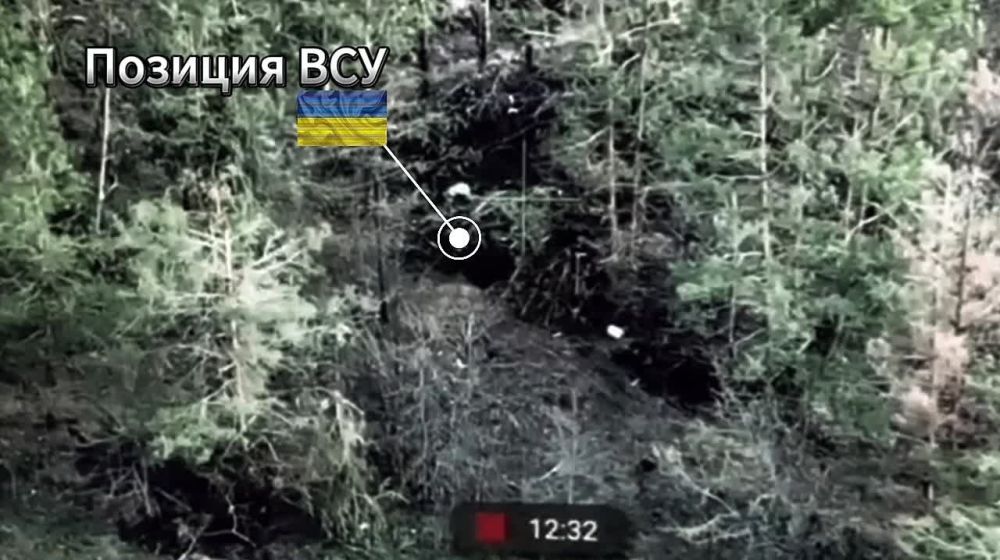 Удачно залетели. Кадры уничтожения расчетом ФПВ 41 мсп 44 АК позиций противника с живой силой в Харьковской области