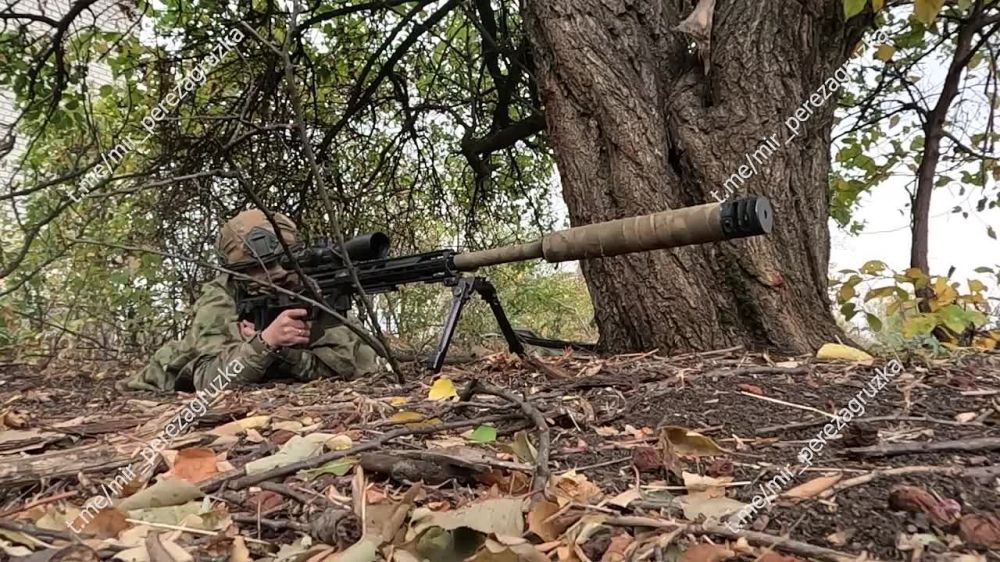 Дорогие снайперы Российской Армии! Поздравляем вас с профессиональным праздником — Днём снайпера!