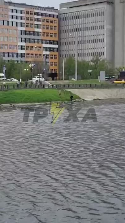 Харьковчанин забежал в реку, спасаясь от тцкшников