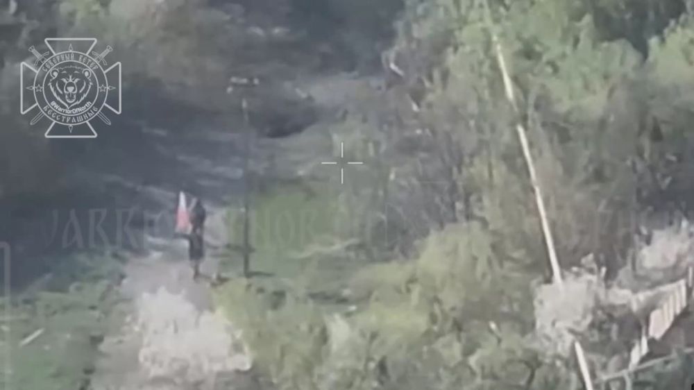 Вслед за освобождением Курской области сообщается о полной зачистке от ВСУ окраин приграничного села Поповка в Белгородской области и выдворении противника с примыкающих лесополос района за территорию госграницы