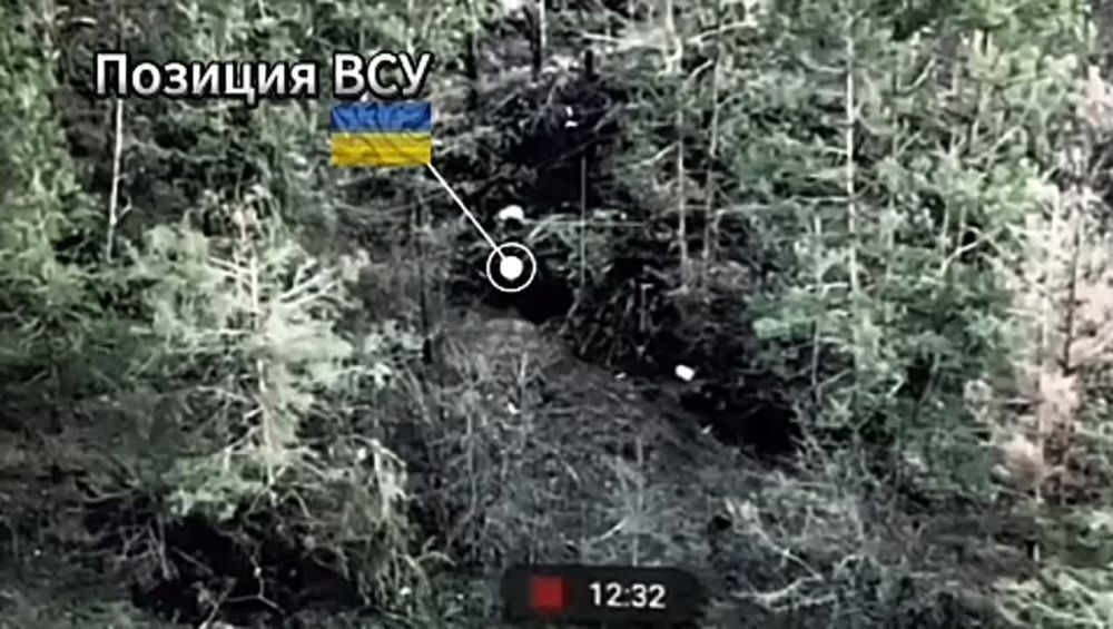 Удачно залетели. Кадры уничтожения расчетом ФПВ, живой силы противника в Харьковской области