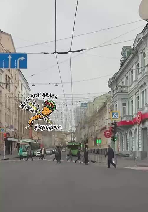 А снег не знал и падал,. А снег не знал и падал