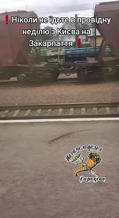 С киевских могил к закарпатскому столу