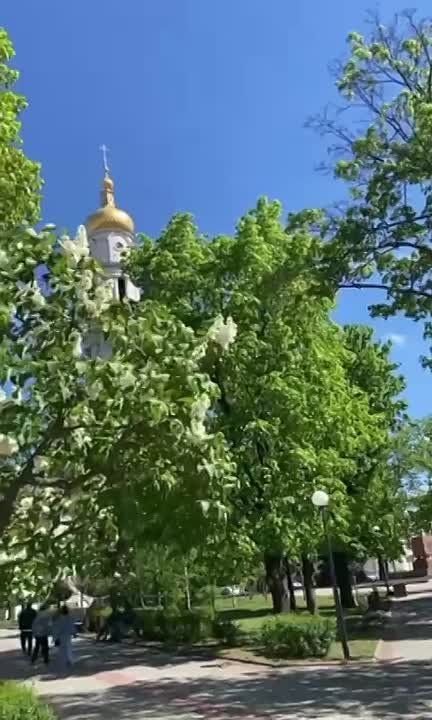 Здравствуй любимый город!. Гагарин на месте, и это не может не радовать