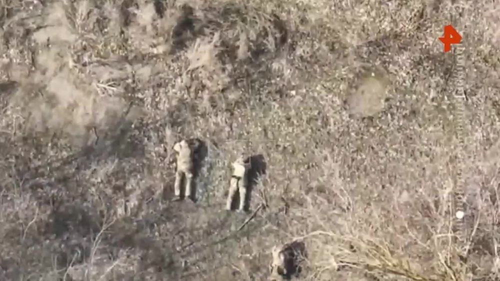 Минобороны России опубликовало видео с кадрами работы российских войск в Каменке Харьковской области, который был освобожден в ходе активных боевых действий подразделений группировки войск "Запад"