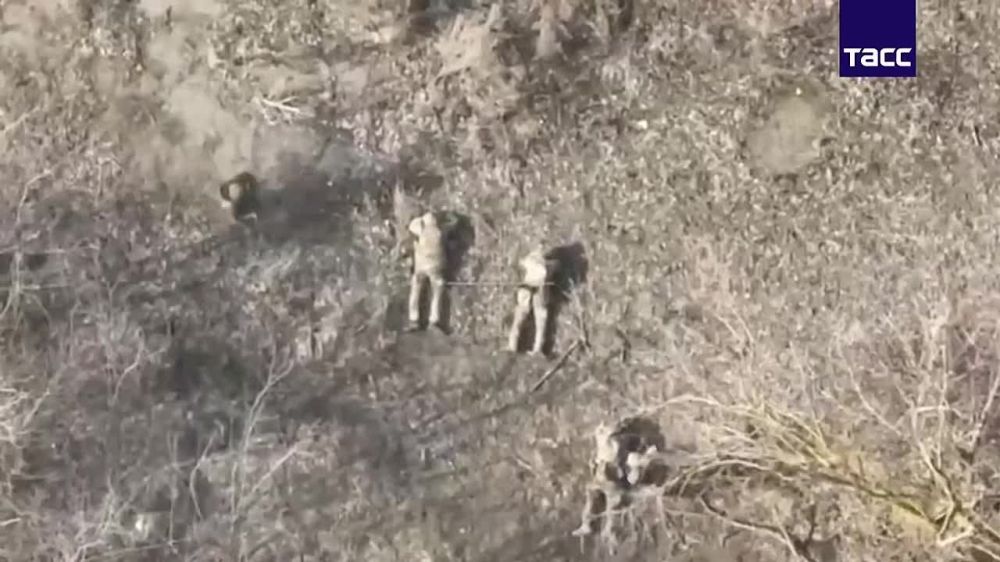 Кадры освобождения населенного пункта Каменка в Харьковской области