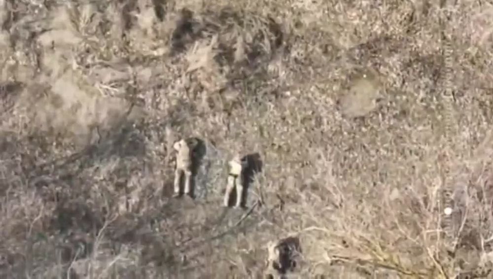 Населенный пункт Каменка в Харьковской области перешёл под контроль российской армии