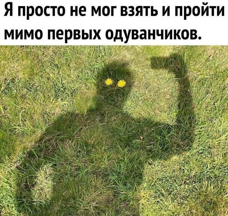 Как прекрасна весенняя природа!