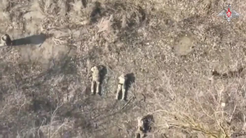 ВС РФ освободили населенный пункт Каменка Харьковской области, — Минобороны России