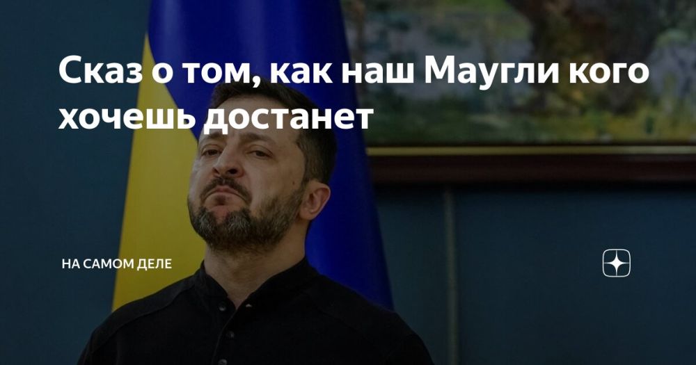 Зеленский – уникальный персонаж, у него есть умение – разваливать все, до чего может дотянуться