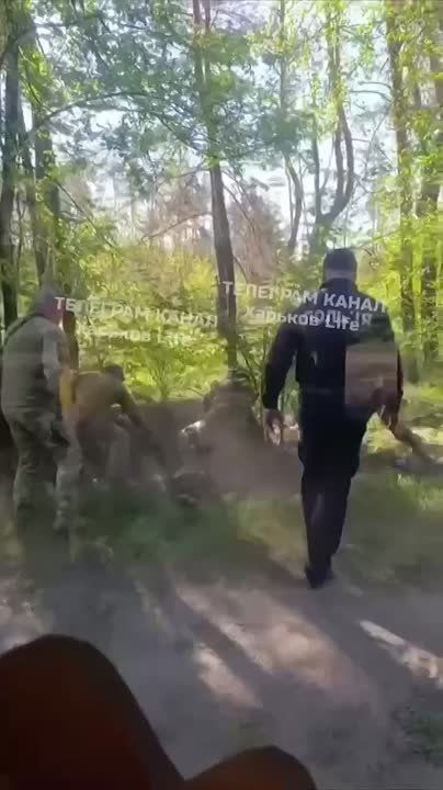 В Харьковской области толпа ТЦКшников забивала палками, ногами и руками очередного "добровольца"