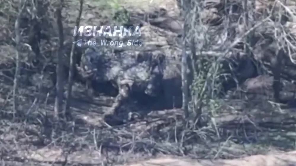 Уничтожение дроном украинской гаубицы Д-30 на Купянском направлении