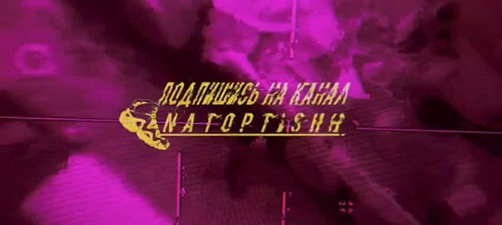    - &quot;&quot;          ,  Telegram- &quot;NATO&quot;