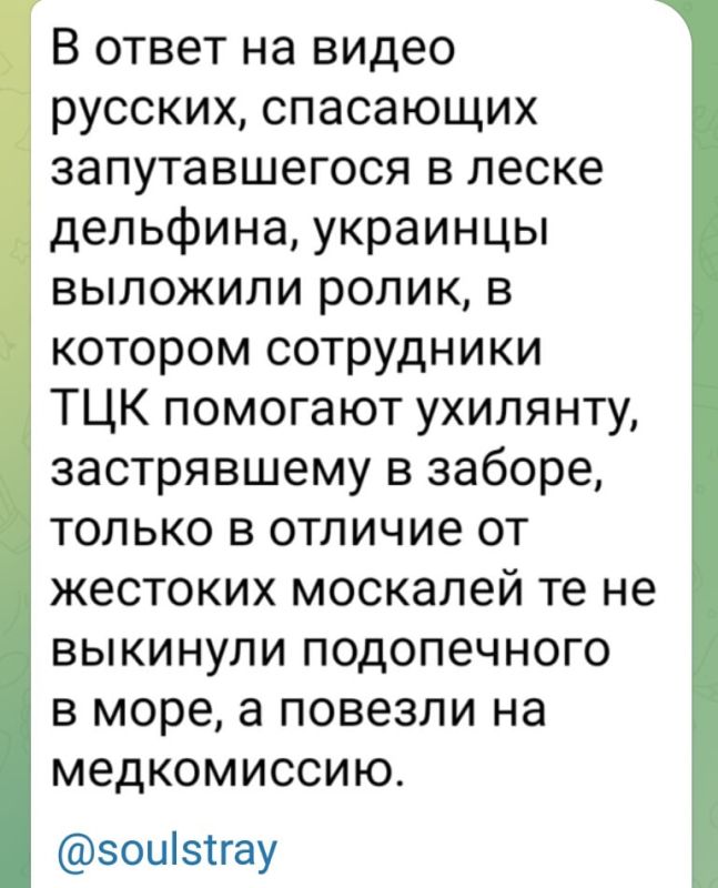 Отакои!. ПОДПИСАТЬСЯ Наш чат