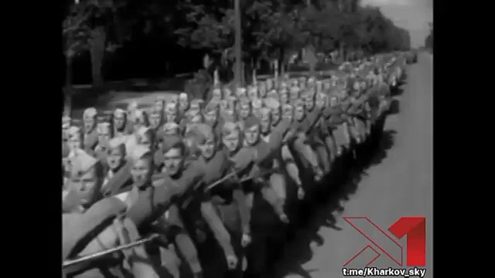  .   ,   ! @harkov777_bot