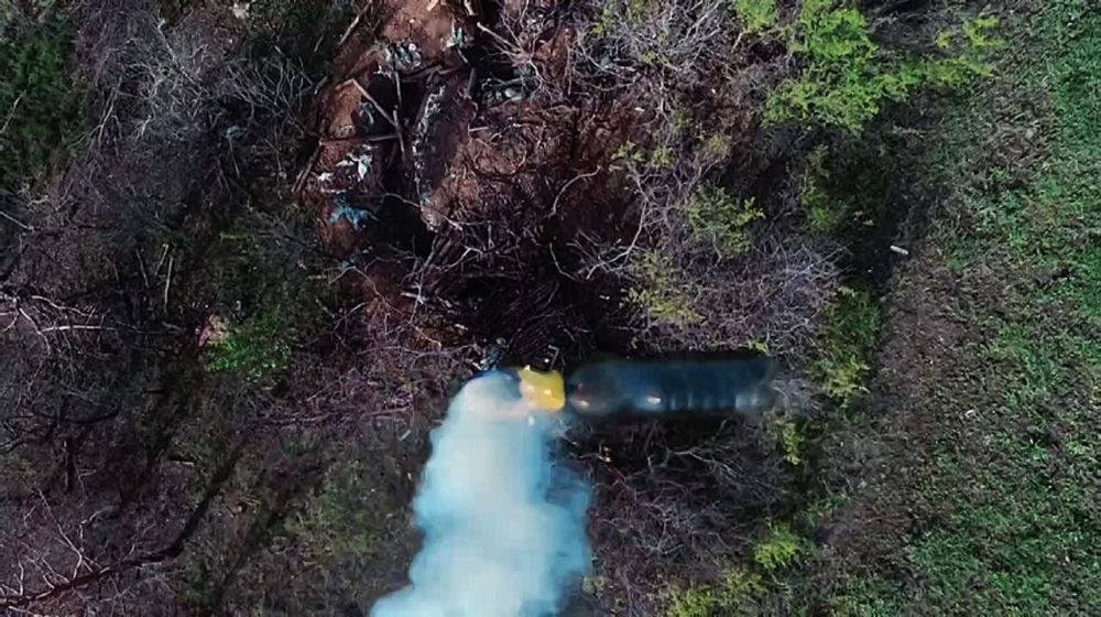  .   44-              ,  ! ߠ  