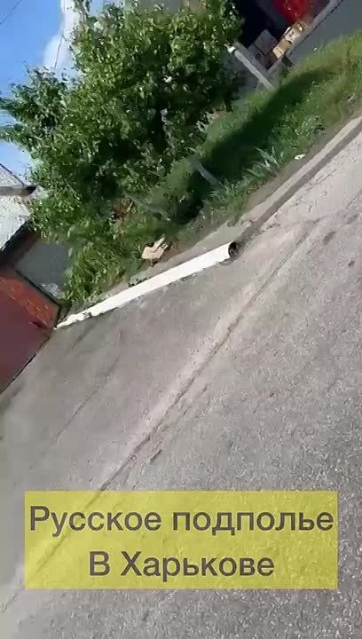 Алексей Живов: Русское подполье в Харькове уничтожило «Ново Пошту», участвующую в логистике грузов для ВСУ