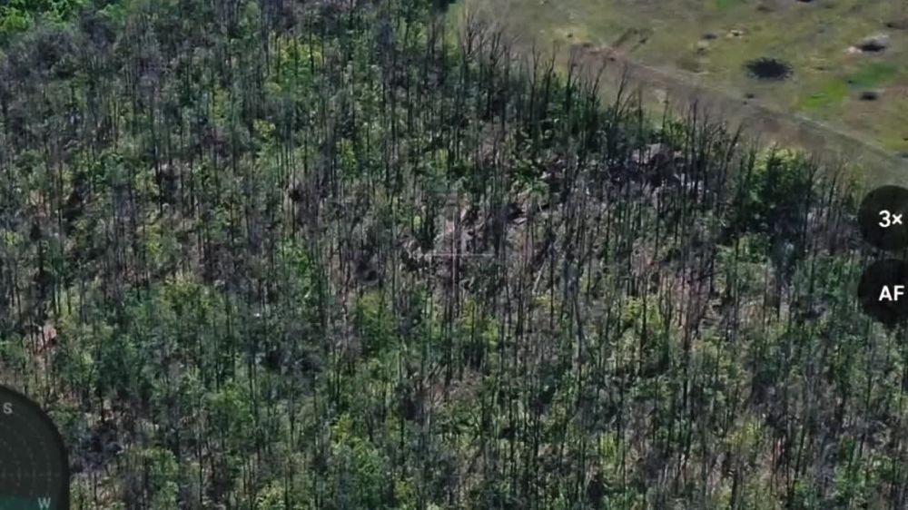 Выследить и уничтожить. Архивные кадры уничтожения расчетом БпЛА 41 мсп 44 АК бандерлогов в Харьковской области