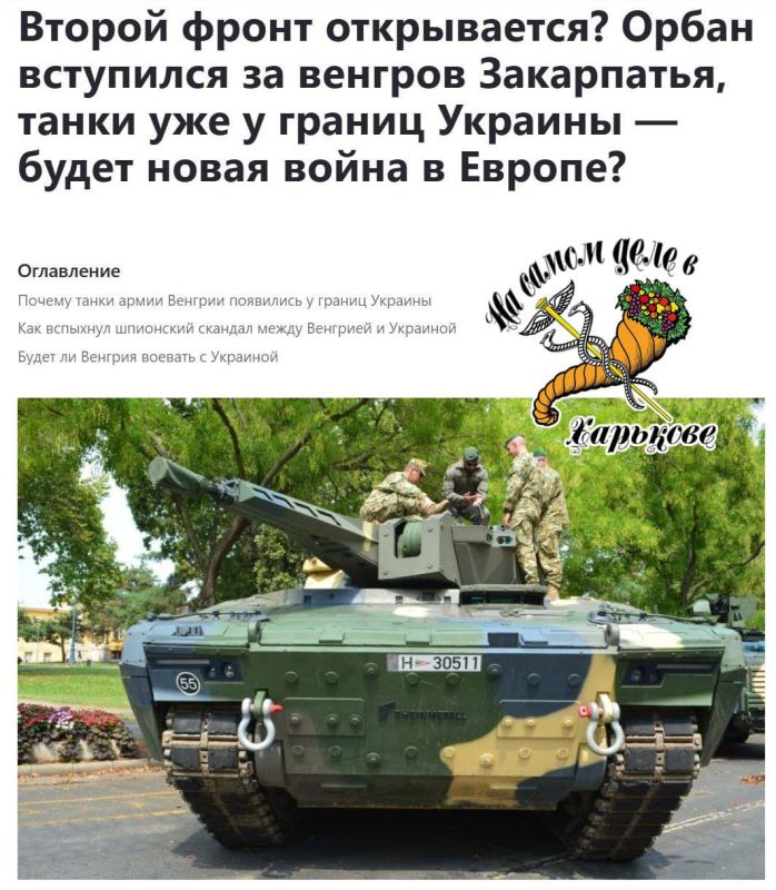 Второй фронт?. На днях между Украиной и Венгрией разразился дипломатический скандал