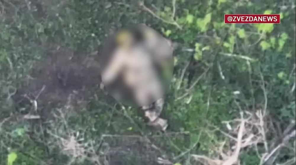 Наши бьют противника на Харьковском направлении