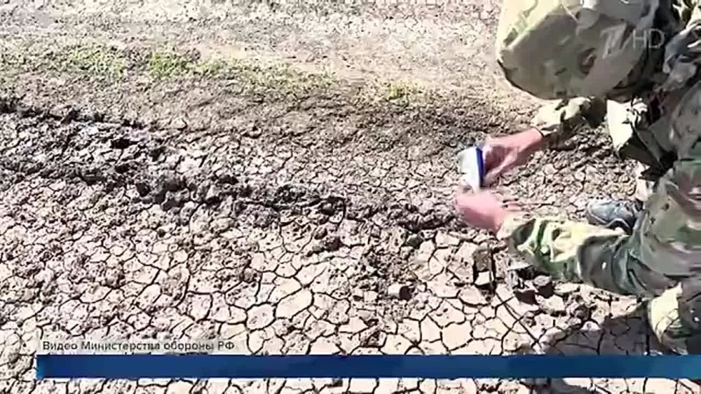       , ,    :          , ,   ,  ...