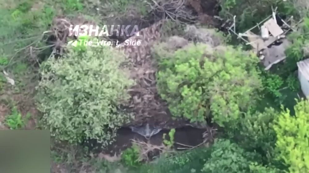  105-  M119  &quot;&quot;   ..   