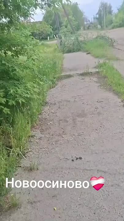 Новоосиново Купянский район