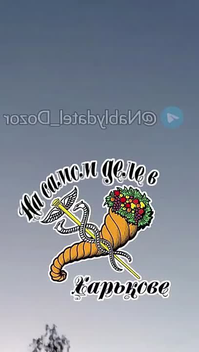            :