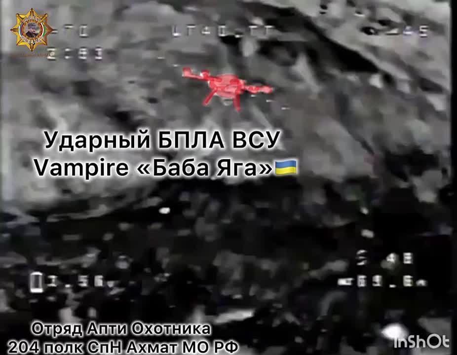  :     &quot;Vampire&quot;