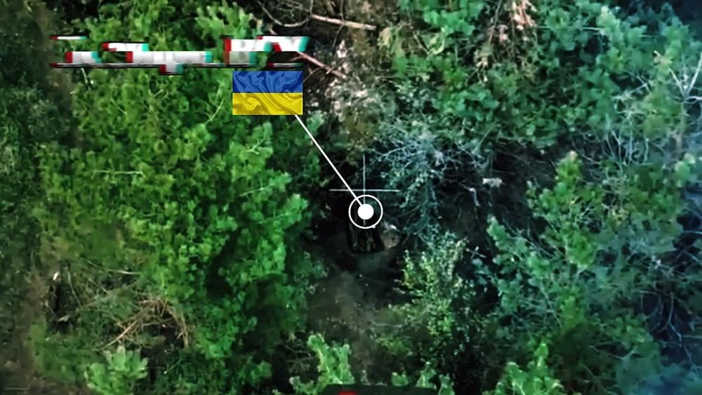 Точность вне конкуренции. Кадры уничтожения расчетом ФПВ 41 мсп 44 АК позиции укропов в Харьковской области